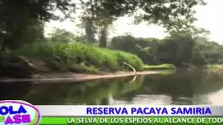Reserva Pacaya Samiria: Conozca una de las maravillas de la ciudad de Loreto