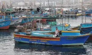 Pescadores de Ilo aseguran que Perú perdió con fallo de La Haya