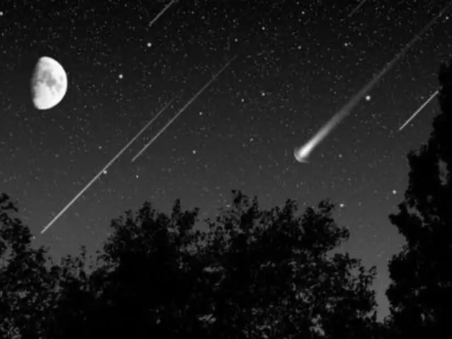 Lluvia de meteoros iluminará el cielo el 3 de enero, según informó la NASA