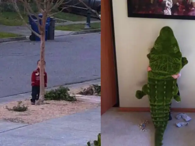 FOTOS: adorables niños que no son muy buenos jugando a las escondidas