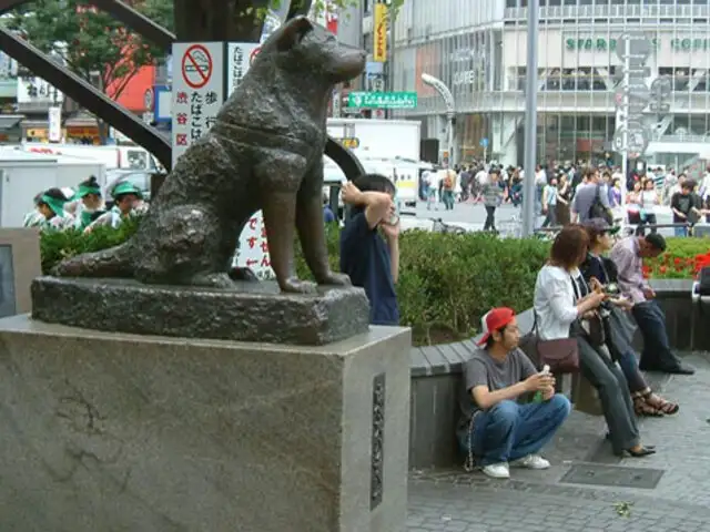 Hachiko: la nueva teoría que acabaría con la historia de lealtad del perro a su amo