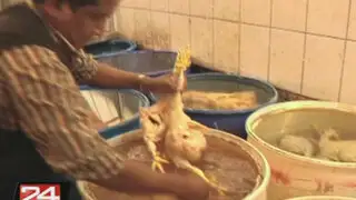 Decomisan gran cantidad de pollos inflados a punto de ser comercializados