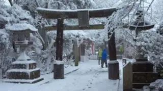 Doce muertos y 1.500 heridos por intensa tormenta de nieve en Japón