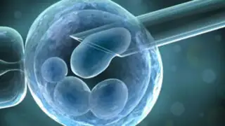 Científicos descubren como crear células madre a partir de células adultas