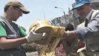 Lince: inician acciones para eliminar plaga de ratas en la avenida Arequipa