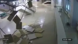 Sochi 2014: gato travieso destruye el techo de un centro comercial