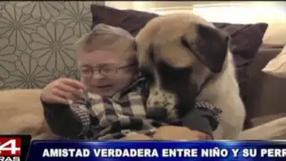 Entrañable amistad entre un niño enfermo y su perro conmueven al mundo