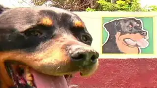 Policía canina despidió con honores al perro héroe Lay Fun