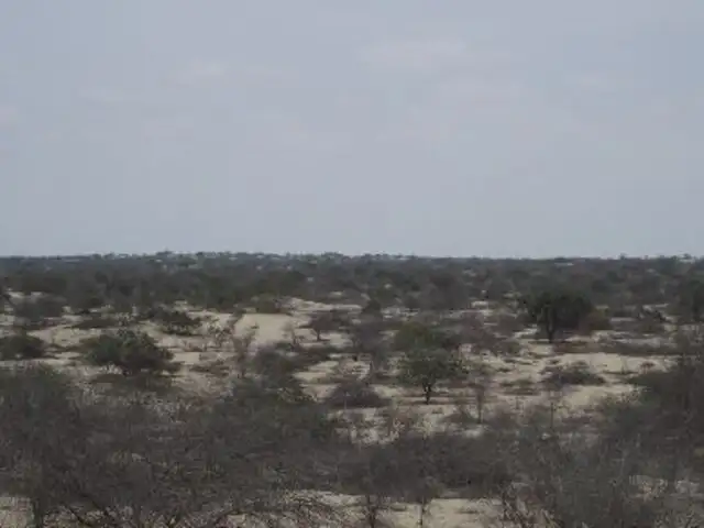 Lambayeque podría ser declarada en emergencia por falta de lluvias