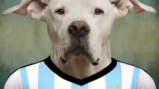 Brasil 2014: perros representativos de cada país lucen camisetas de su selección