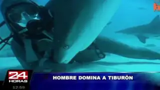 VIDEO: buzo dominó a peligroso tiburón usando sólo las manos