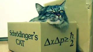Científicos crean 'gatos de Schrödinger' que pueden estar 'vivos o muertos'