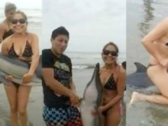 Identifican a jóvenes que se fotografiaron jugando con delfín varado