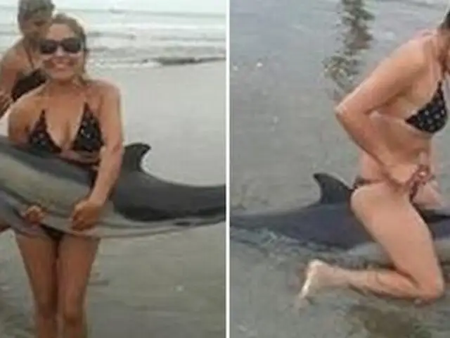 Mujer que se fotografió con delfín varado en Lambayeque pide perdón al país