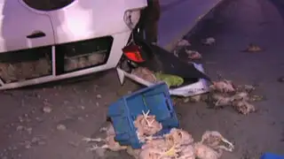 Auto que transportaba pollos se volcó en la Vía Expresa dejando dos heridos