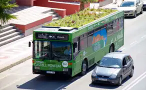 España: singular iniciativa convierte buses en jardines rodantes