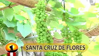 En Ruta: Conozca cómo se celebra la vendimia de Santa Cruz de Flores en Cañete