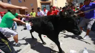 Ayacucho: prohíben festividad del “Jala Toro” para evitar maltrato a animales