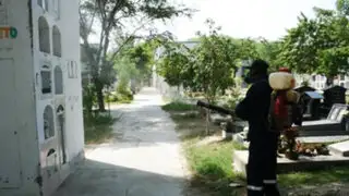 Minsa encontró larvas del mosquito transmisor del dengue en cementerio El Ángel