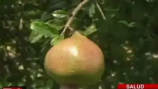 Los secretos de la granada: exótica fruta evita el envejecimiento y el cáncer