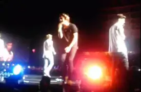 One Direction: Harry Styles recibió golpe en el rostro durante concierto en Lima