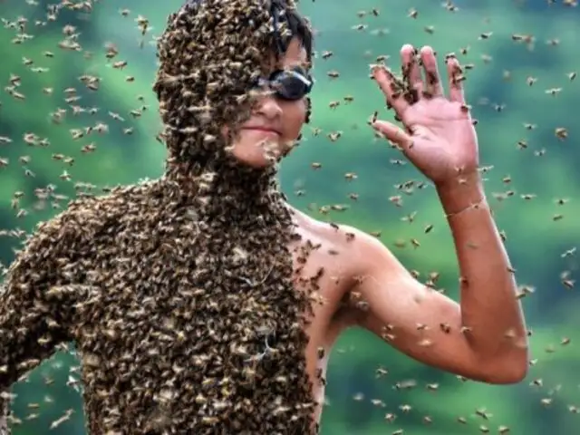 No soportarás el dolor: los 3 peores lugares donde te puede picar una abeja