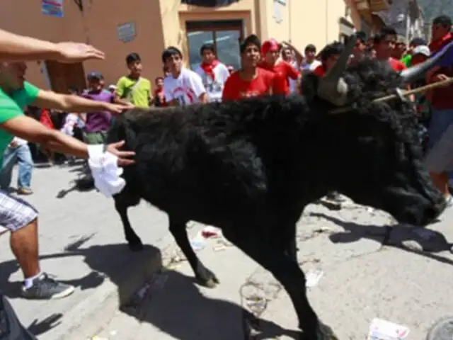 Ayacucho: prohíben festividad del “Jala Toro” para evitar maltrato a animales