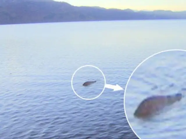 FOTOS: ¿Imágenes confirman existencia del monstruo del lago Ness?