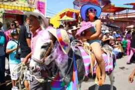 México: burros celebraron su día disfrazados de diferentes personajes
