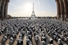 FOTOS: artista crea 1.600 pandas de papel y los lleva a pasear por el mundo