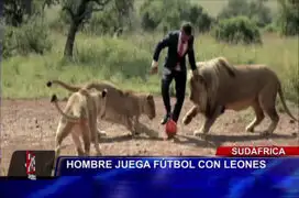 VIDEO: hombre juega partido de fútbol con leones y tigres en Sudáfrica