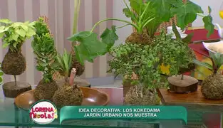 Sepa cómo hacer un jardín colgante de kokedama en su hogar