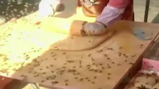 En este país puedes comerte un dulce aprobado por abejas... y relleno de ellas