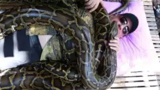 Relajación extrema: ofrecen masajes con serpientes en Tailandia