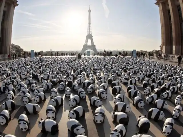 FOTOS: artista crea 1.600 pandas de papel y los lleva a pasear por el mundo