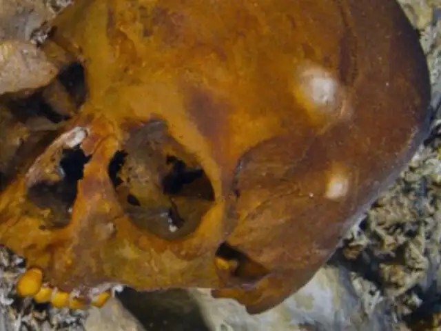El hallazgo de este esqueleto en México cambia la historia de América