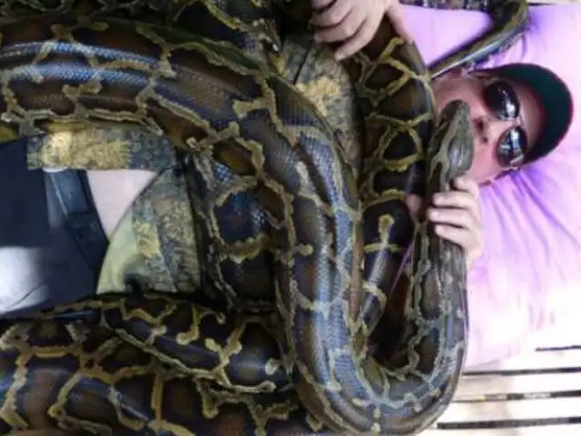 Relajación extrema: ofrecen masajes con serpientes en Tailandia