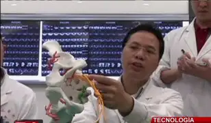 Tecnología 3D permitió a médicos realizar operación de cadera en Shangai