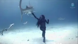 Modelo desafía a tiburones y baila junto a ellos para grabar impresionante video