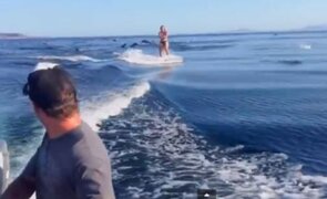 VIDEO: Realizan esquí acuático con delfines saltando a su alrededor