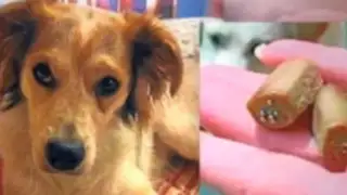 VIDEO: ponen clavos en salchichas para dañar a perros en España