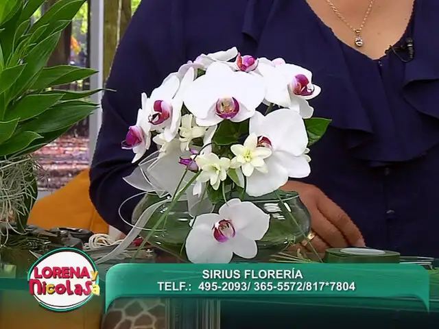 Lorena y Nicolasa: sepa cómo hacer decorativos arreglos con orquídeas