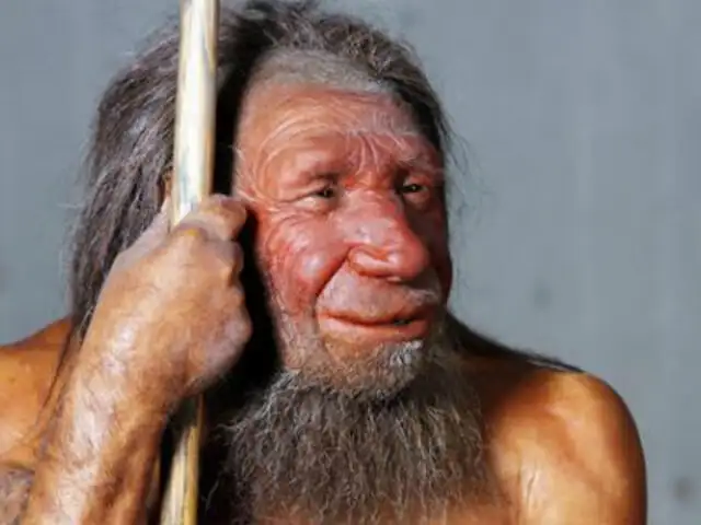 Hombre de Neanderthal complementaba con vegetales su dieta carnívora