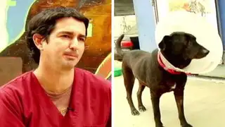 El veterinario del pueblo: Francisco Bryce y su amor por los animales ‘pobres’