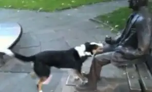 VIDEO: ¿Qué pasa cuando un perro confunde a una estatua con una persona?