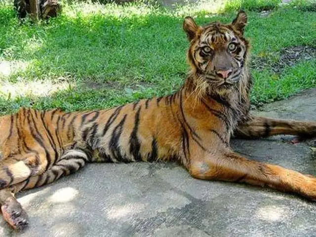 FOTOS: conoce el ‘zoológico de la muerte’ que estremece al mundo