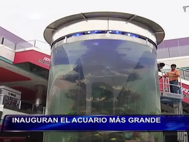 Conocido centro comercial de Lima inauguró acuario más grande de Sudamérica