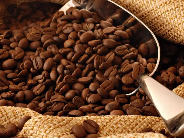 El café de Chanchamayo: conozca sus beneficios y propiedades curativas