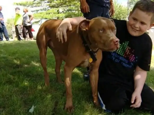 Estados Unidos: perro héroe salva de morir a niño sordo en voraz incendio