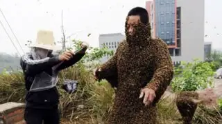 Estados Unidos: hombre muere tras ser atacado por 60 mil abejas